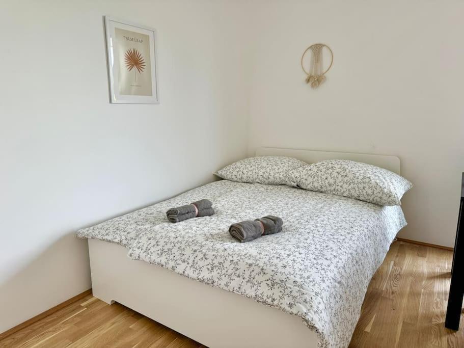 Modern Danube With Balcony & Free Parking *
