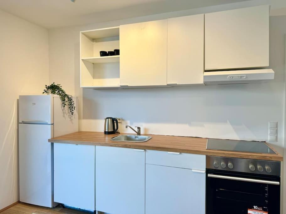 Apartment Modern Danube With Balcony & Free Parking Wien