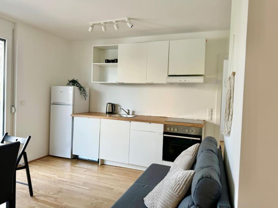 Apartment Modern Danube With Balcony & Free Parking